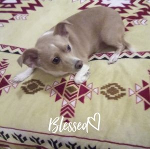 Meet your Posher, Kathleen